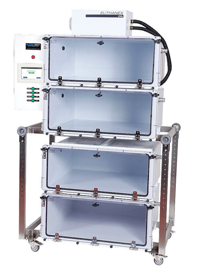 小动物安乐死系统